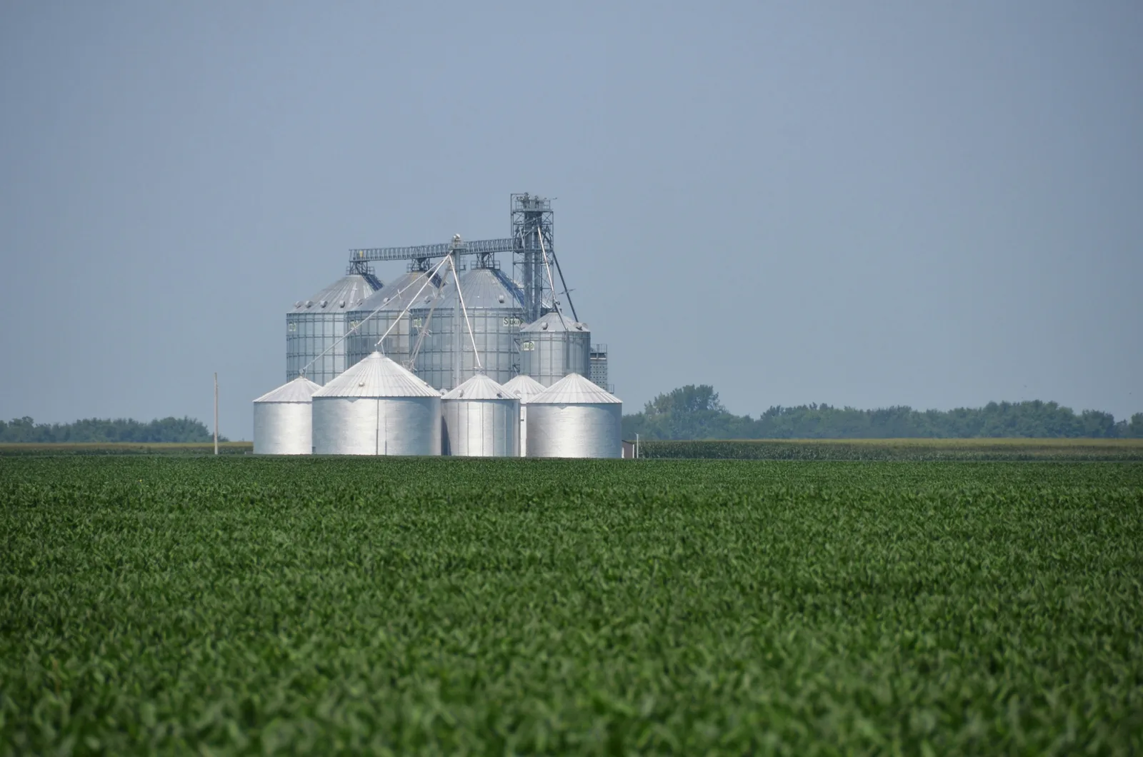 Agricultural commodities and international export operations — view 2