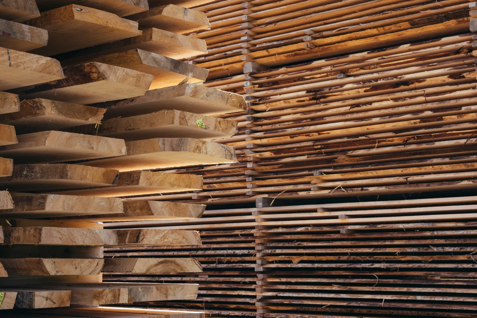 Timber, wood products and international shipment — view 1