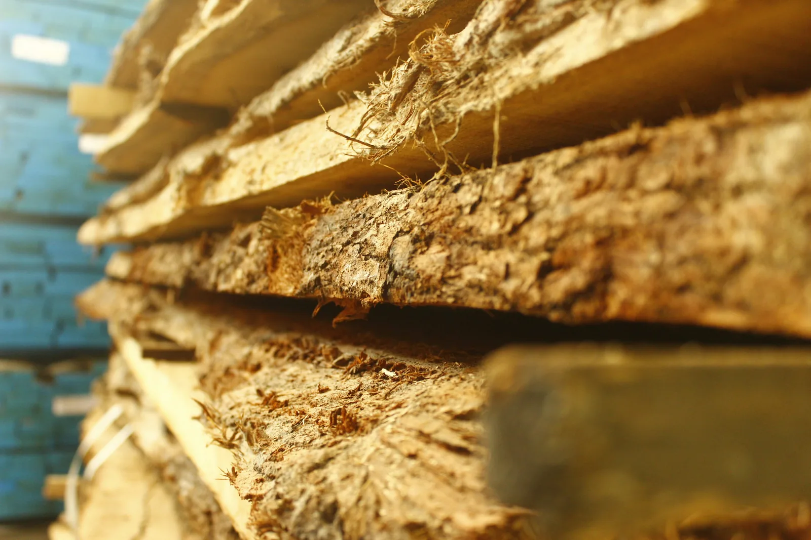 Timber, wood products and international shipment — view 2