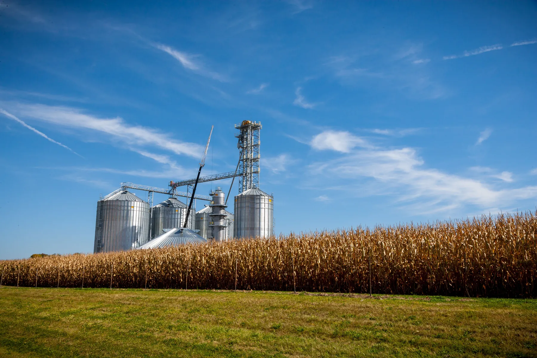 Agricultural commodities and international export operations — view 4