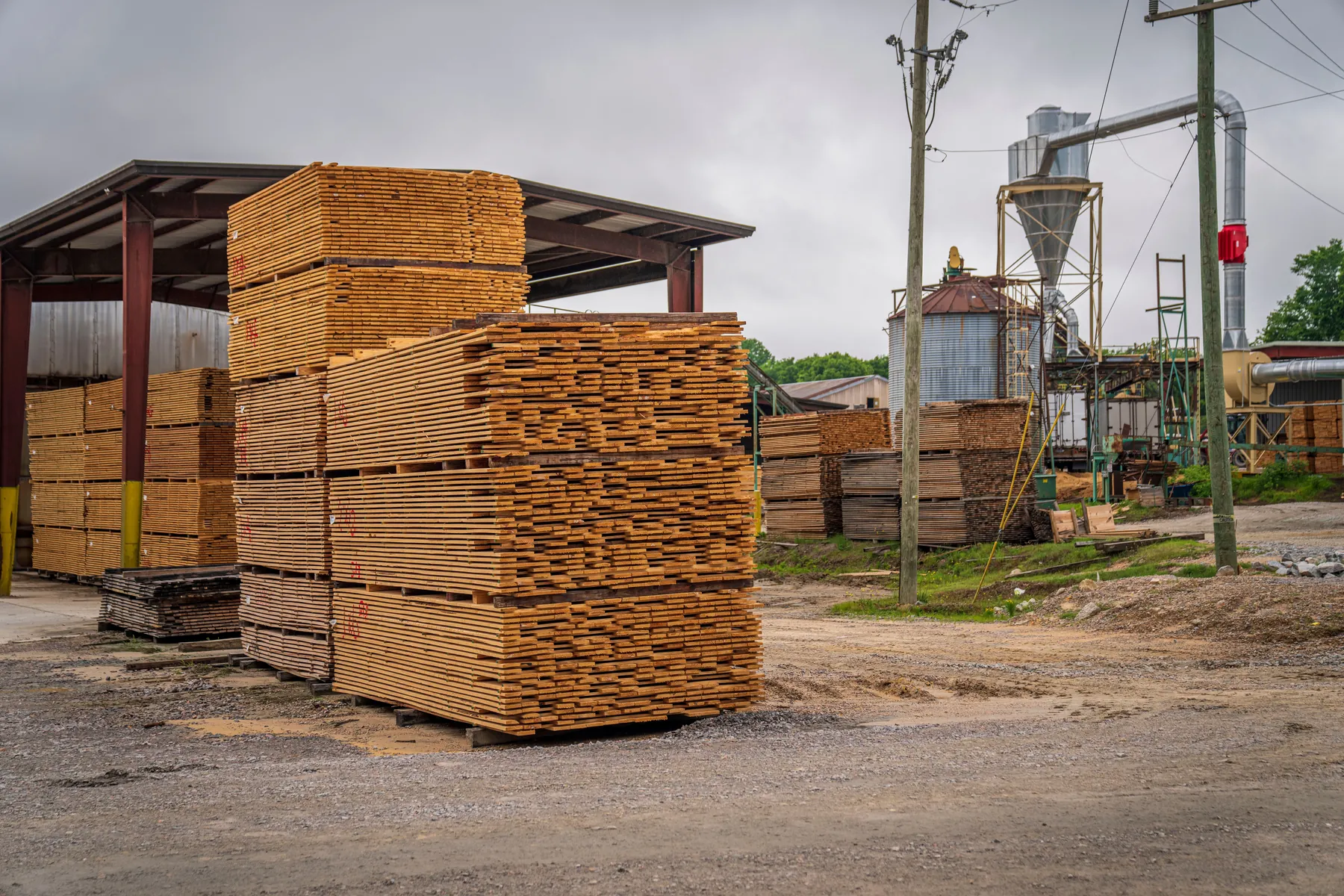 Timber, wood products and international shipment — view 3
