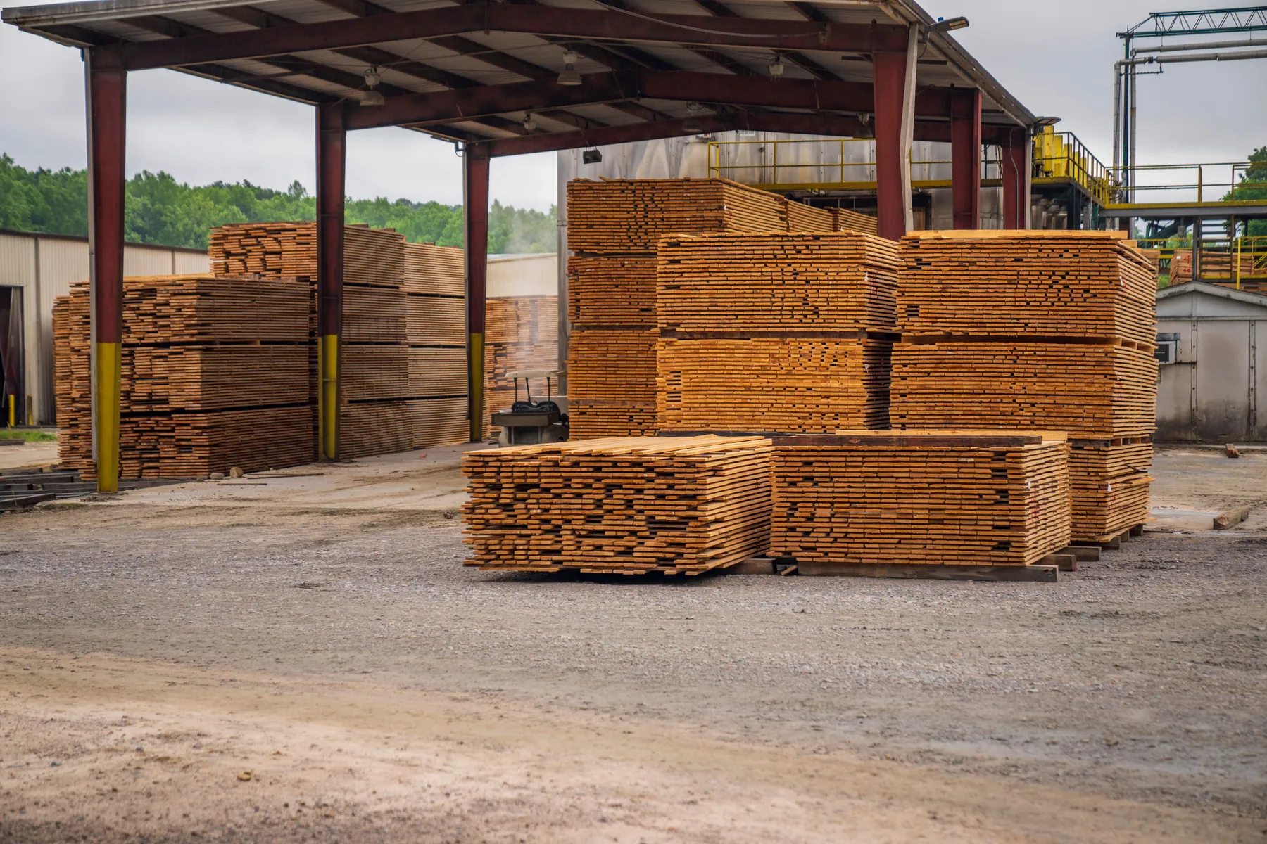 Timber, wood products and international shipment — view 4